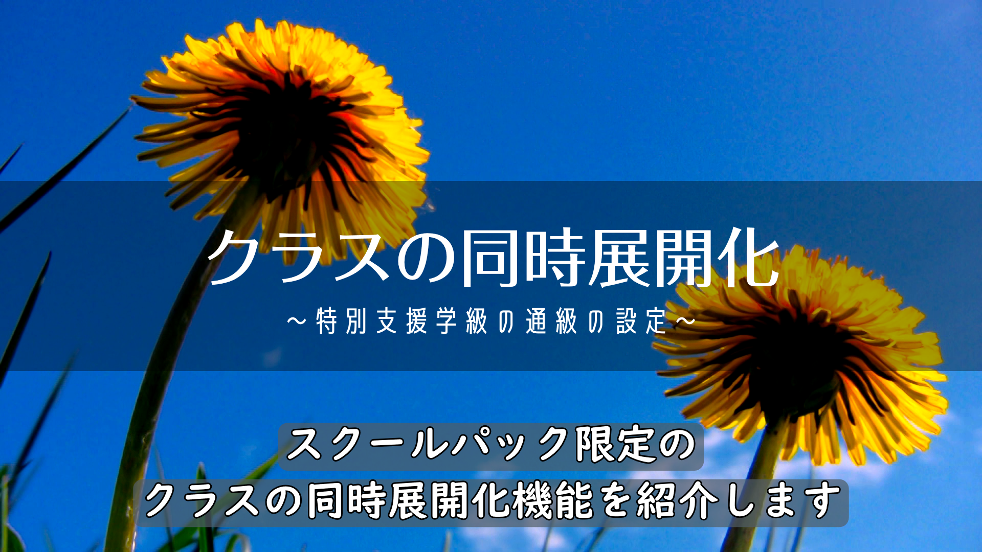 スクールパック紹介動画再生リストへ